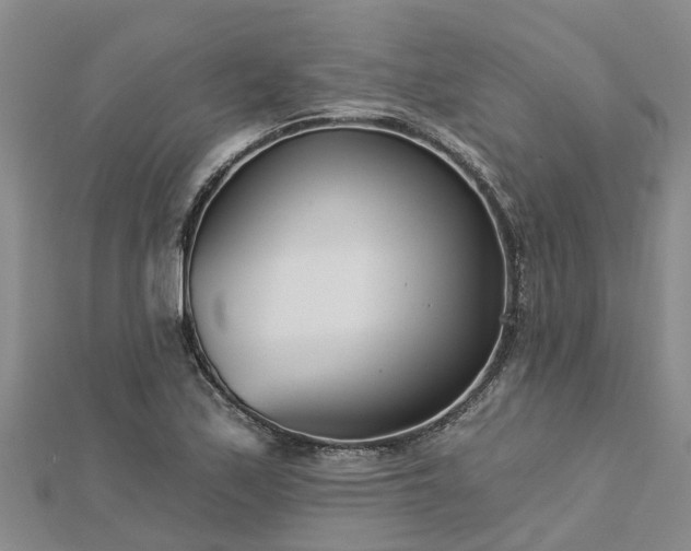 X0000113001171200909031247