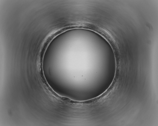 X0000113001172200909031247