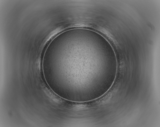 X0000113001173200909031247