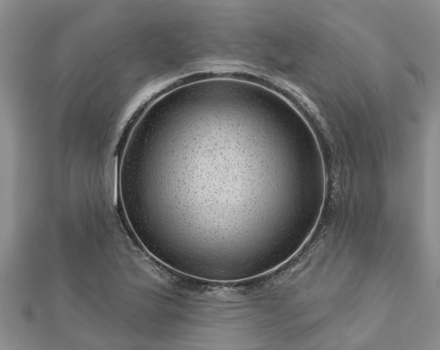 X0000113001175200909031247