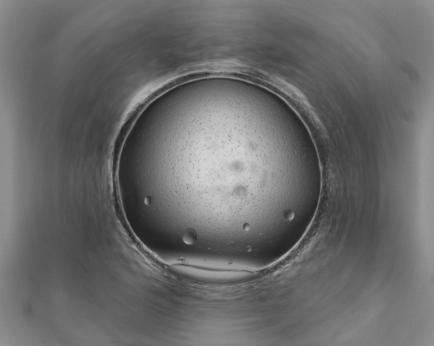 X0000113001176200909031247