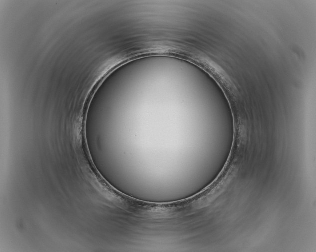 X0000113001178200909031247