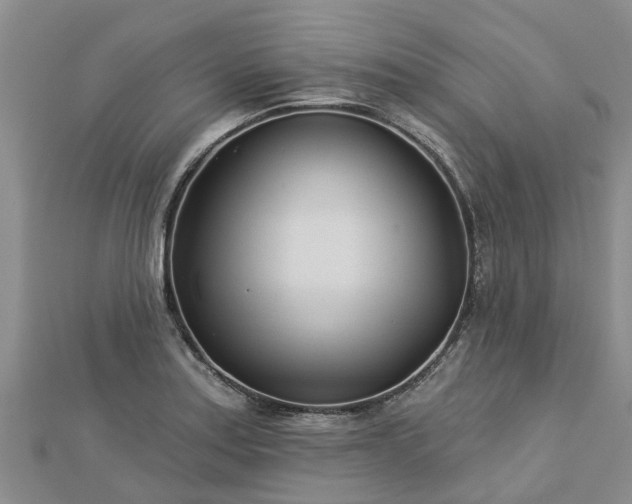 X0000113001179200909031247