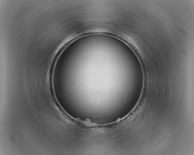 X0000113001181200909031247