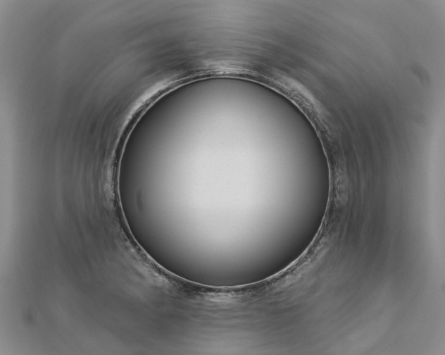 X0000113001182200909031247