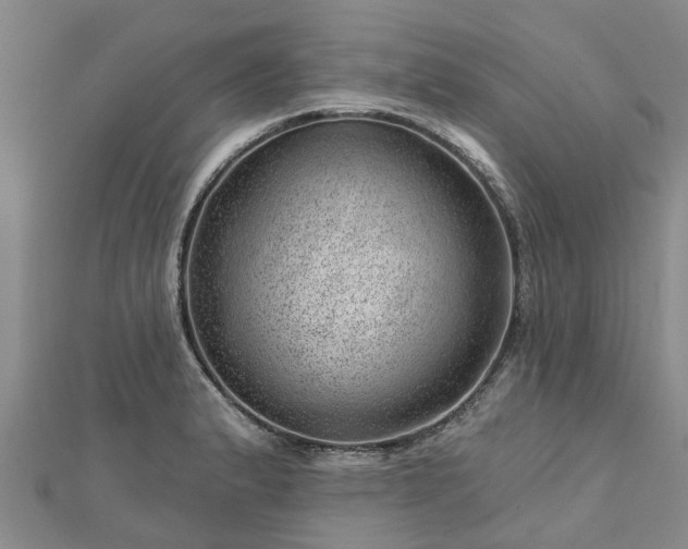 X0000113001183200909031247