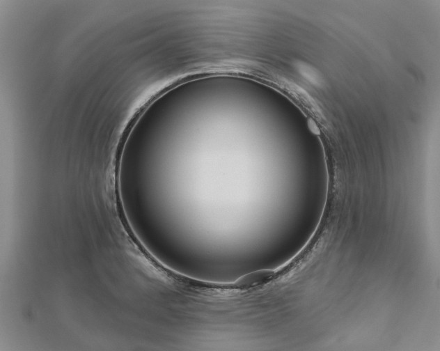 X0000113001184200909031247