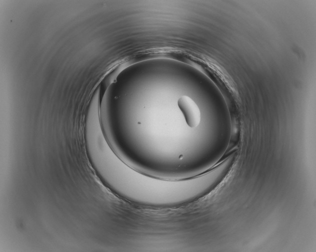 X0000113001185200909031247