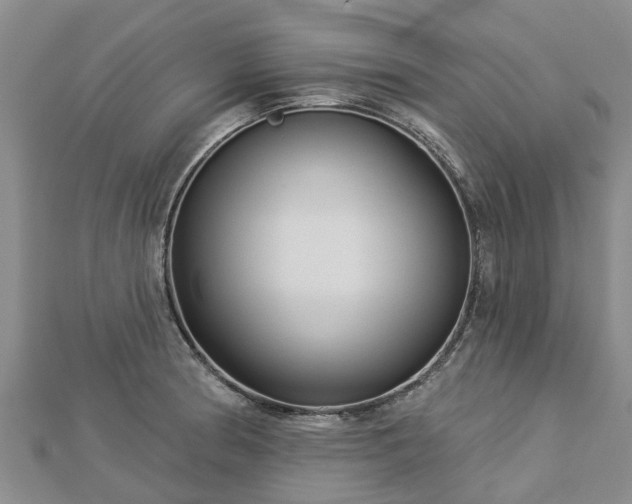 X0000113001186200909031247