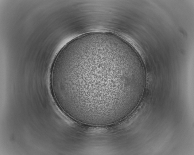 X0000113001187200909031247