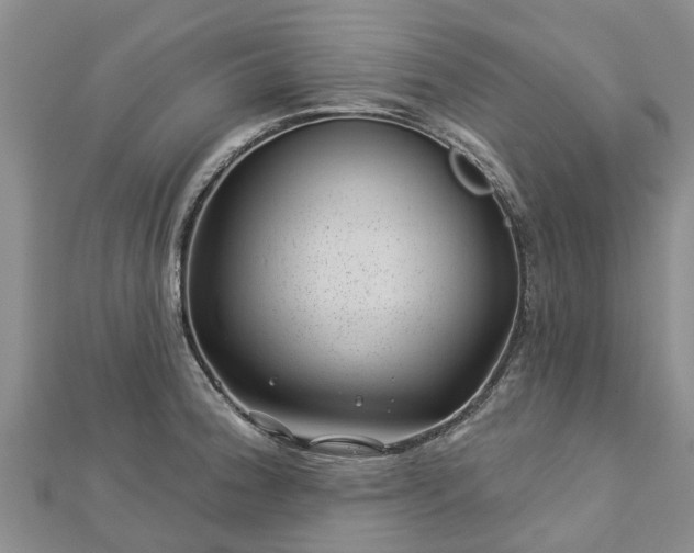 X0000113001188200909031247