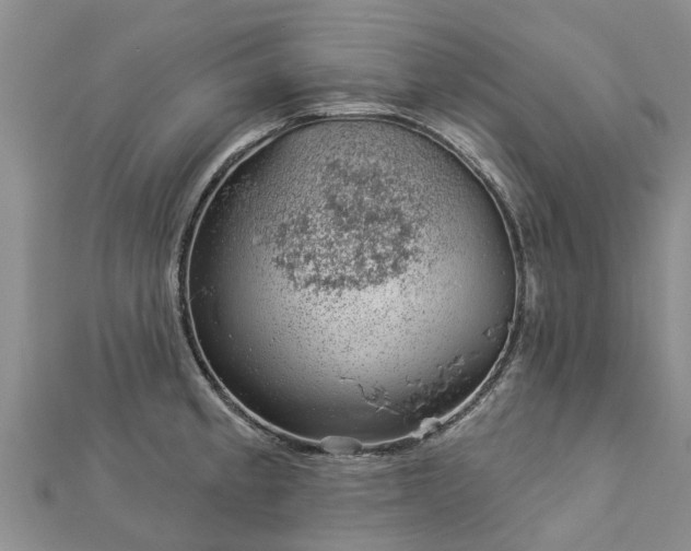 X0000113001189200909031247