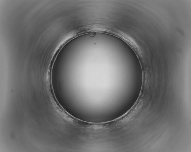 X0000113001190200909031247