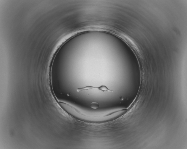 X0000113001192200909031246