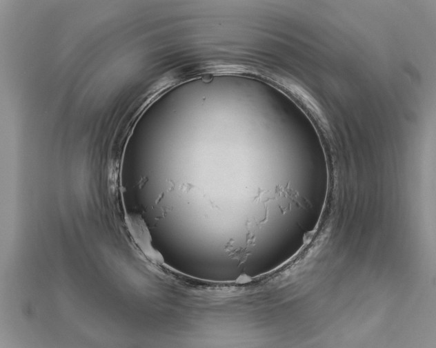 X0000113001193200909031246