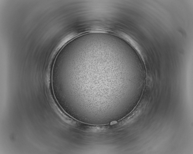 X0000113001195200909031246