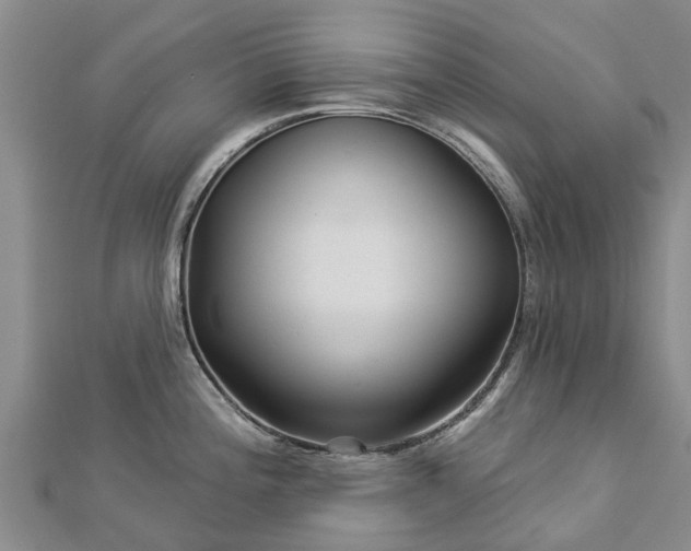 X0000113001196200909031246