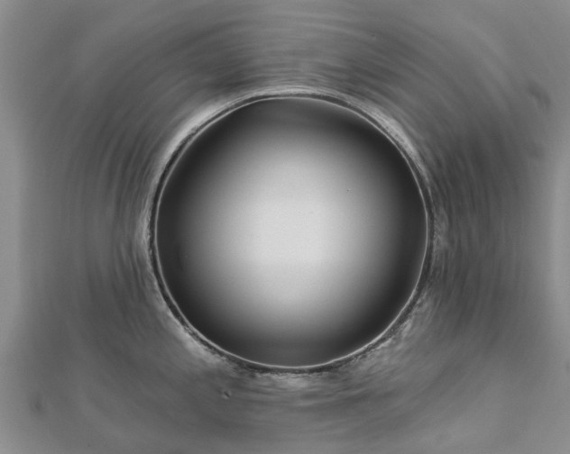 X0000113001197200909031246