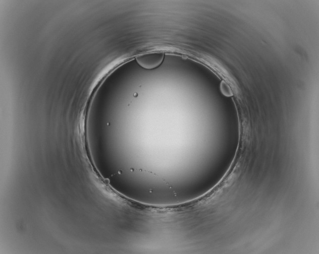 X0000113001198200909031246