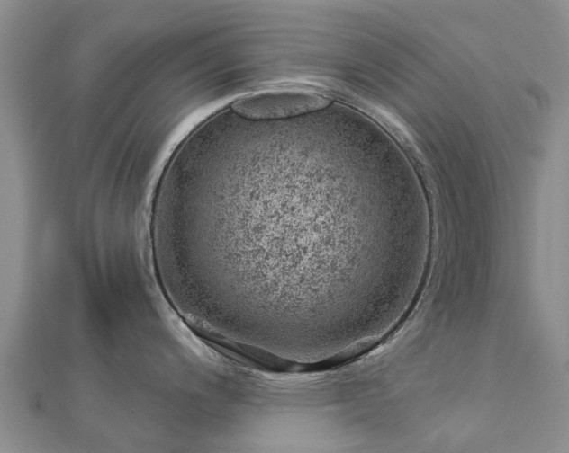 X0000113001200200909031246