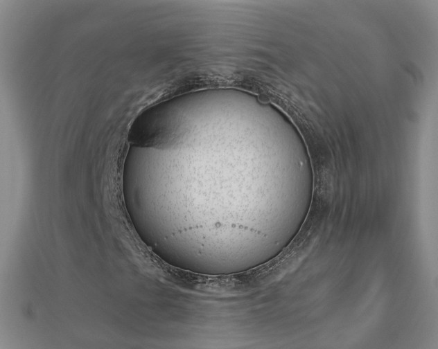 X0000113001201200909031246