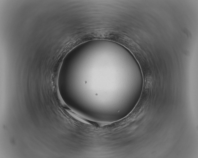 X0000113001202200909031246