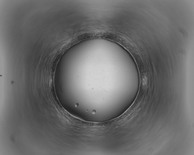 X0000113001204200909031246