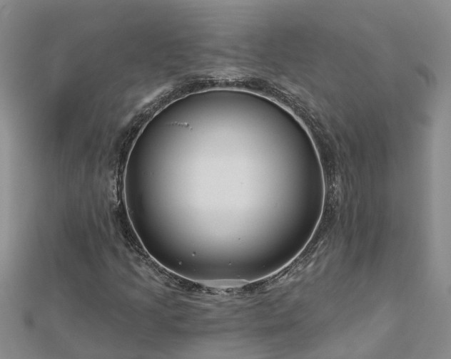 X0000113001205200909031246