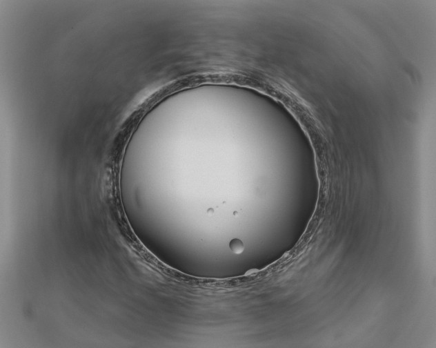 X0000113001208200909031246