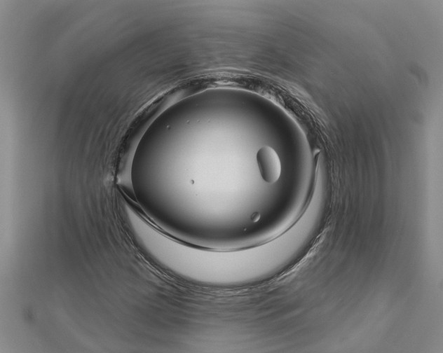 X0000113001209200909031246