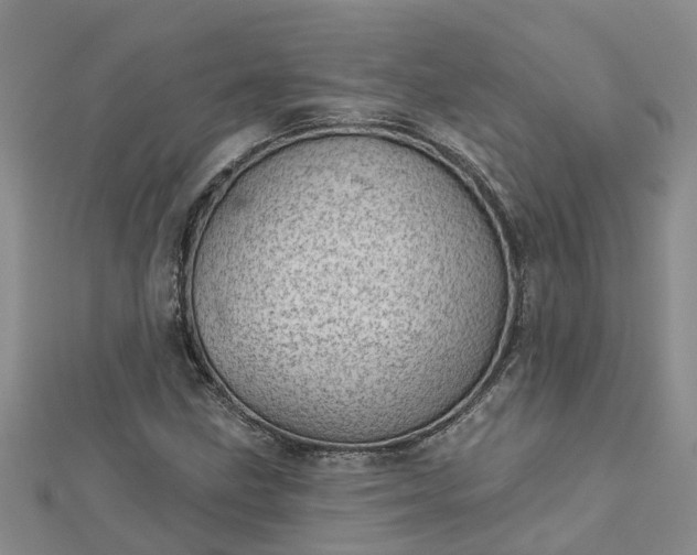 X0000113001211200909031246