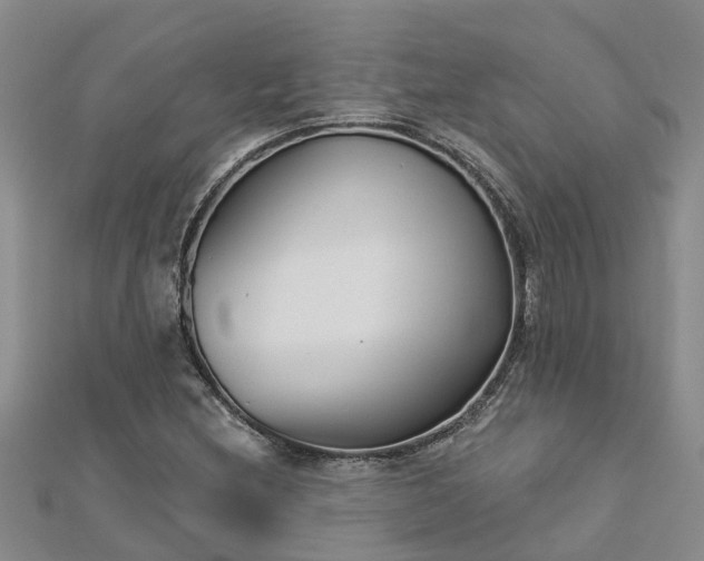 X0000113001212200909031246