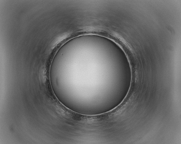 X0000113001213200909031246