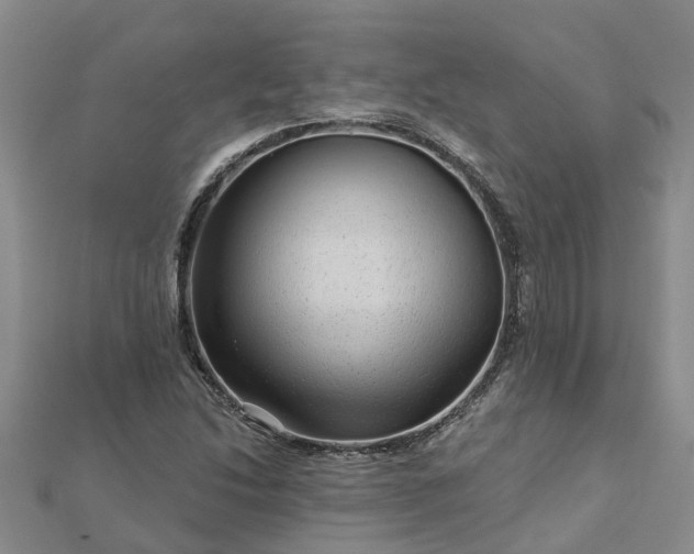 X0000113001214200909031246