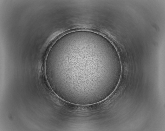 X0000113001215200909031246