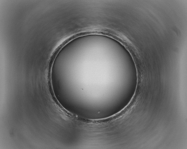 X0000113001216200909031246