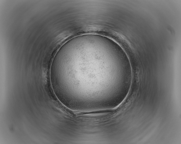 X0000113001217200909031246