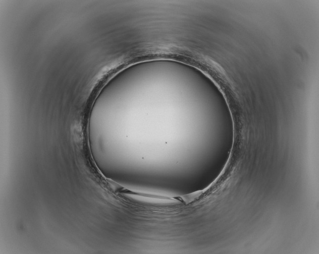 X0000113001218200909031246