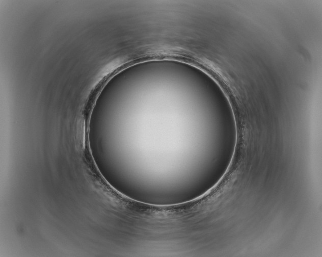 X0000113001219200909031246