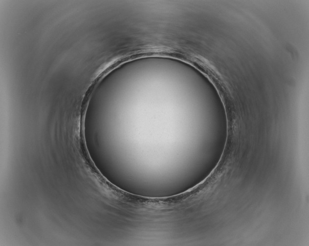 X0000113001220200909031246