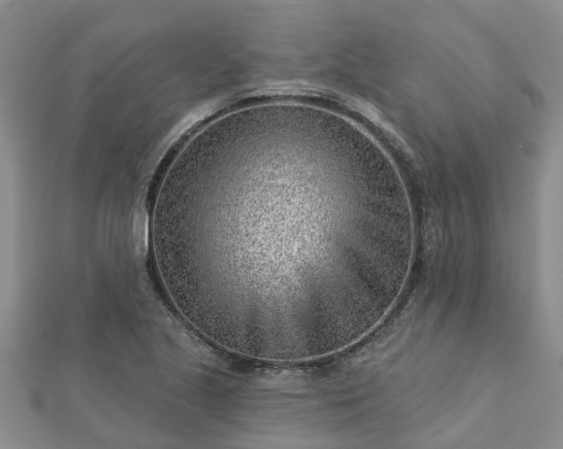 X0000113001221200909031246