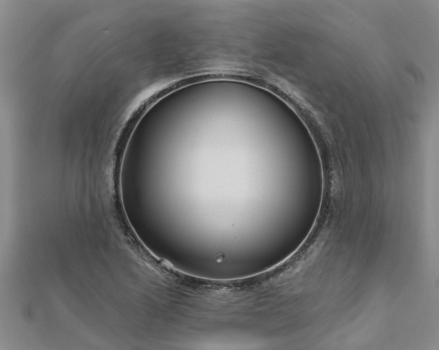 X0000113001222200909031246