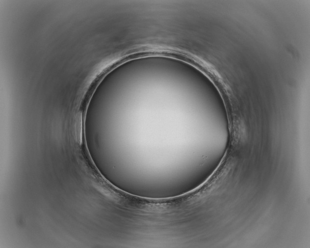 X0000113001223200909031246