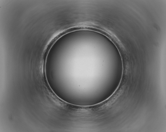 X0000113001224200909031246