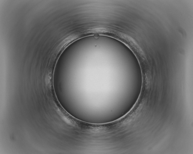 X0000113001225200909031246