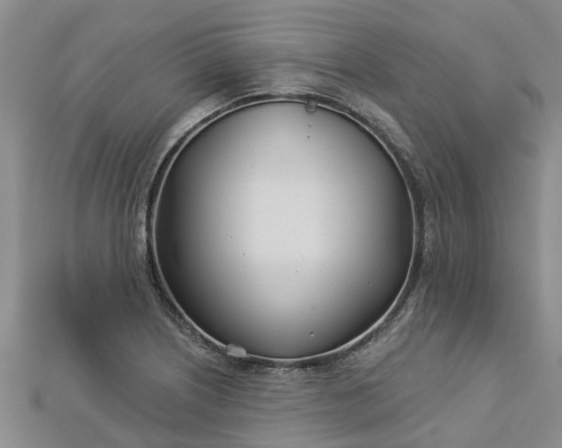 X0000113001226200909031246