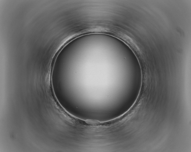 X0000113001228200909031246