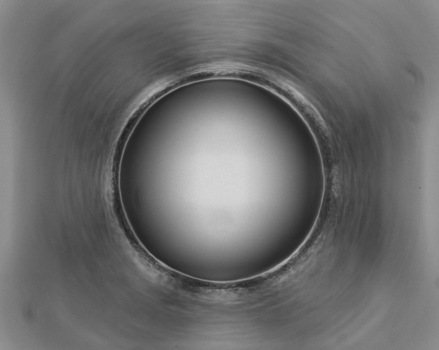 X0000113001229200909031246