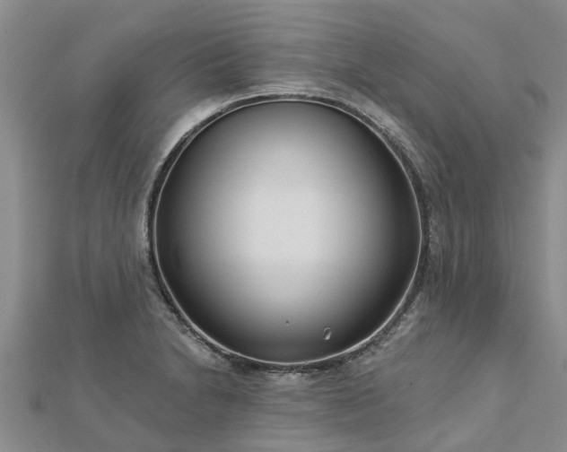 X0000113001230200909031246