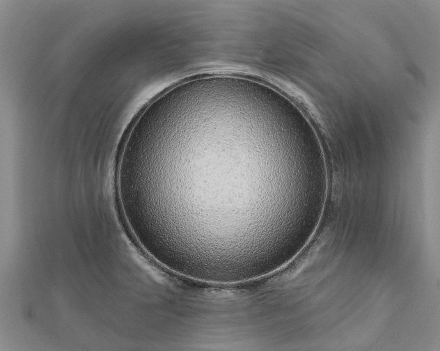 X0000113001231200909031246